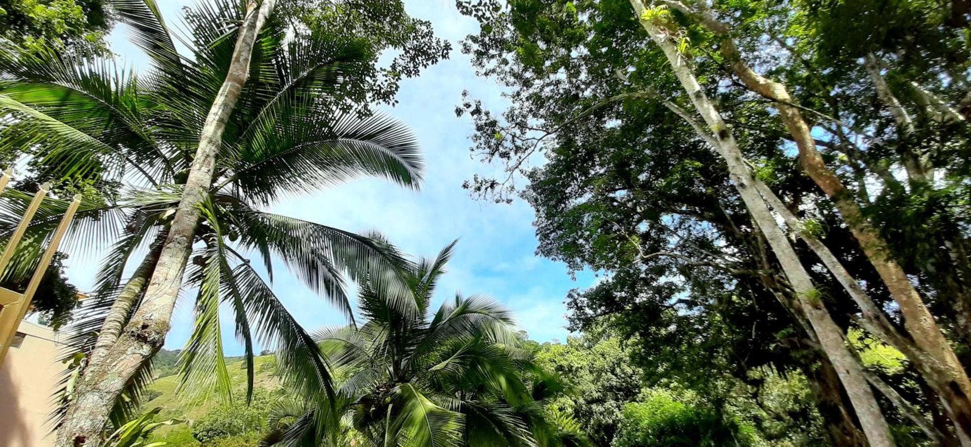 Hotel Campestre La Gaitana Tobia Dış mekan fotoğraf